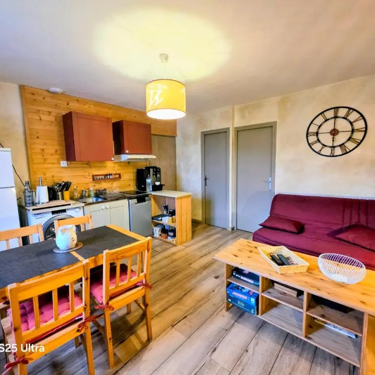 Le petit coin au bord du lac_Doussard