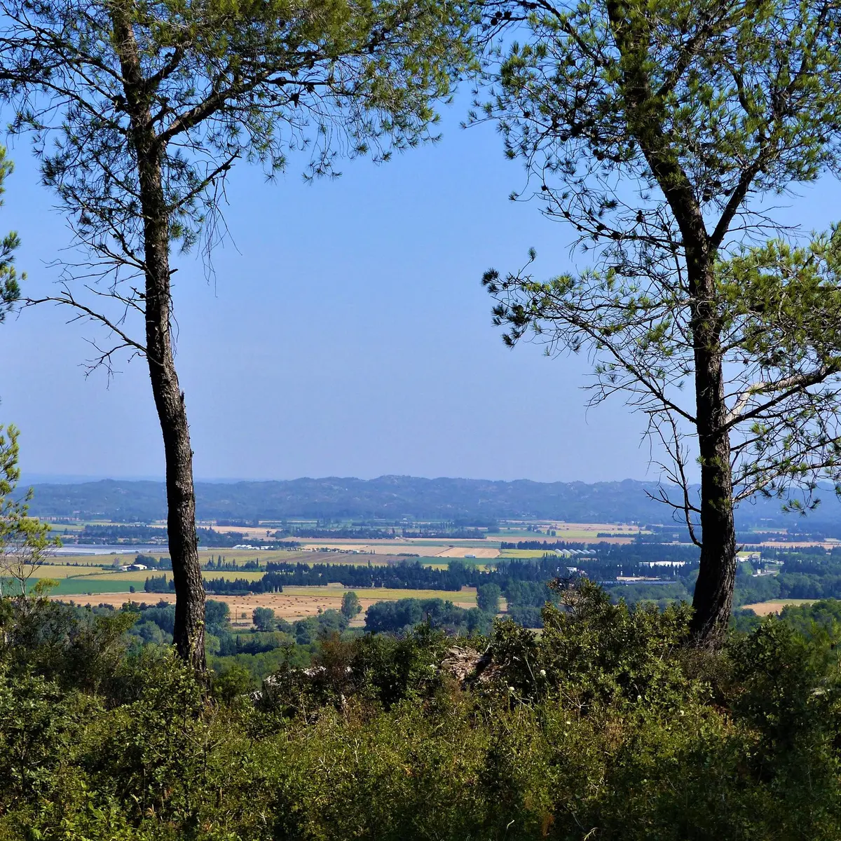 Vue sur la Montagnette