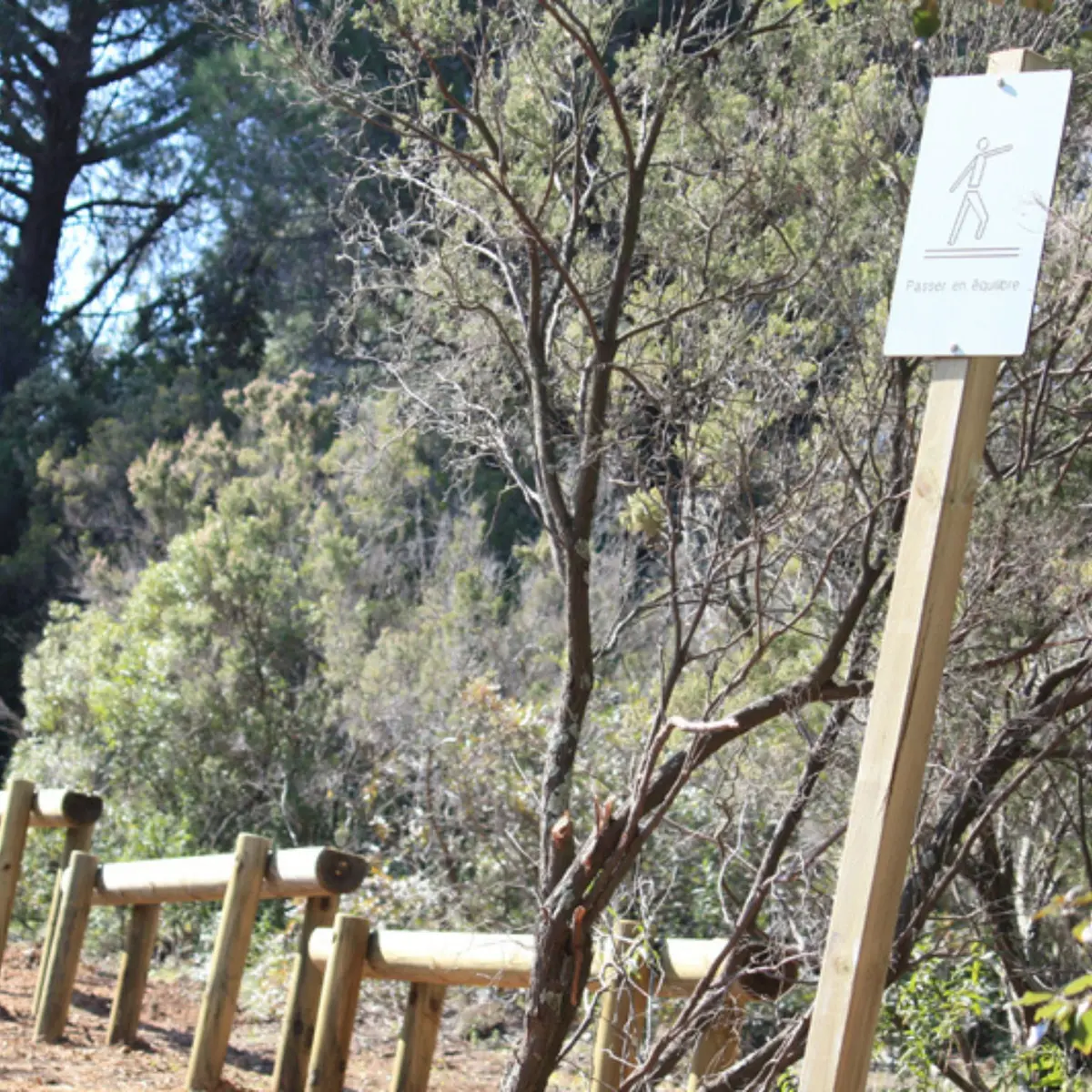 Petite Suisse Hiking