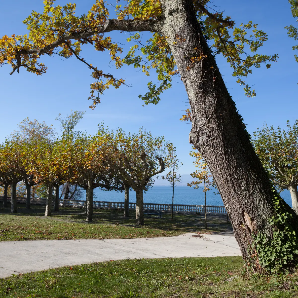 Parc de Corzent