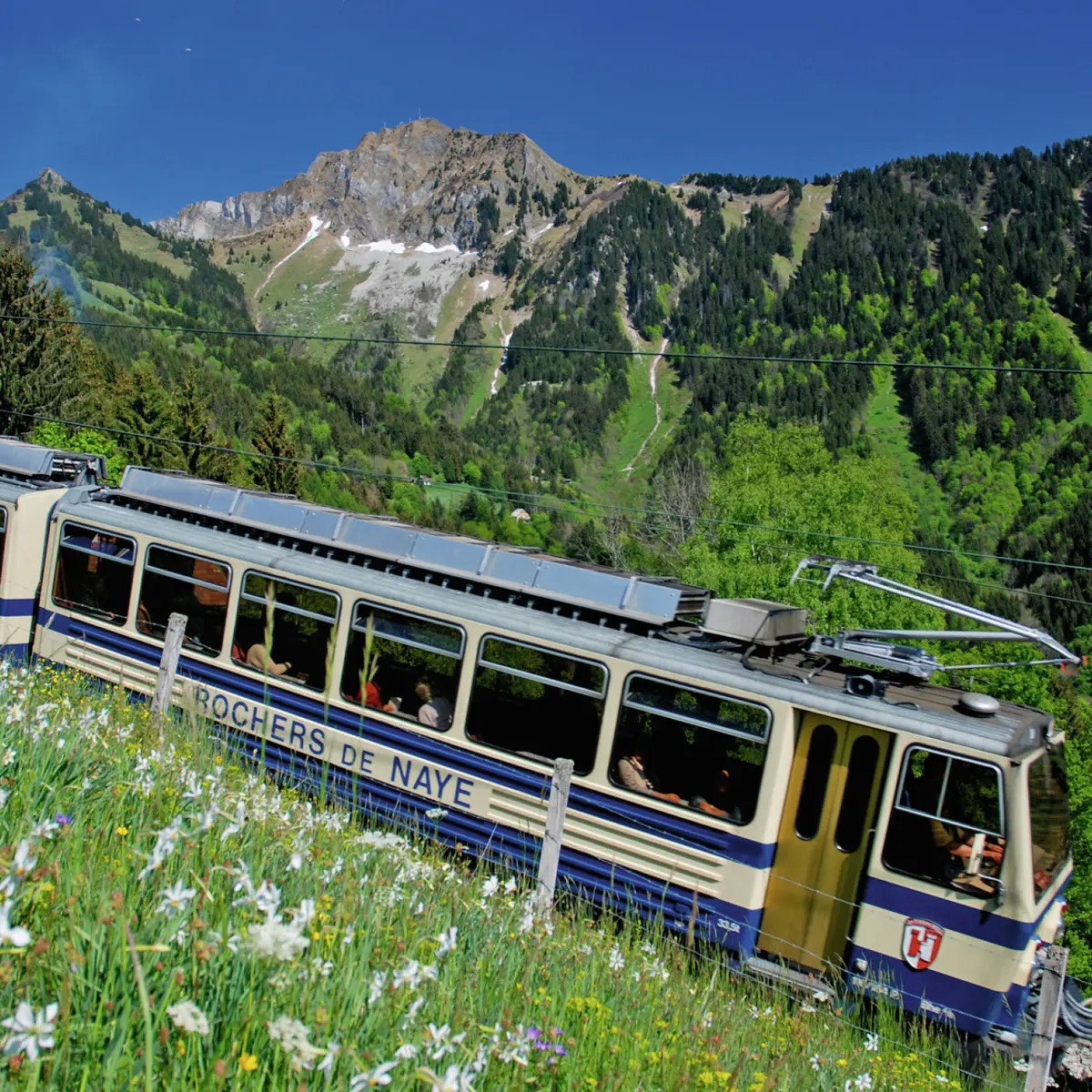 Montée aux Rochers-de-Naye
