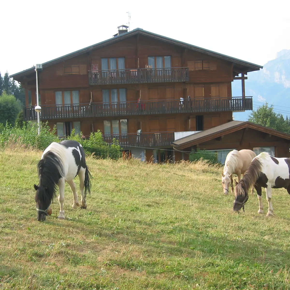 Chalet Gabriel