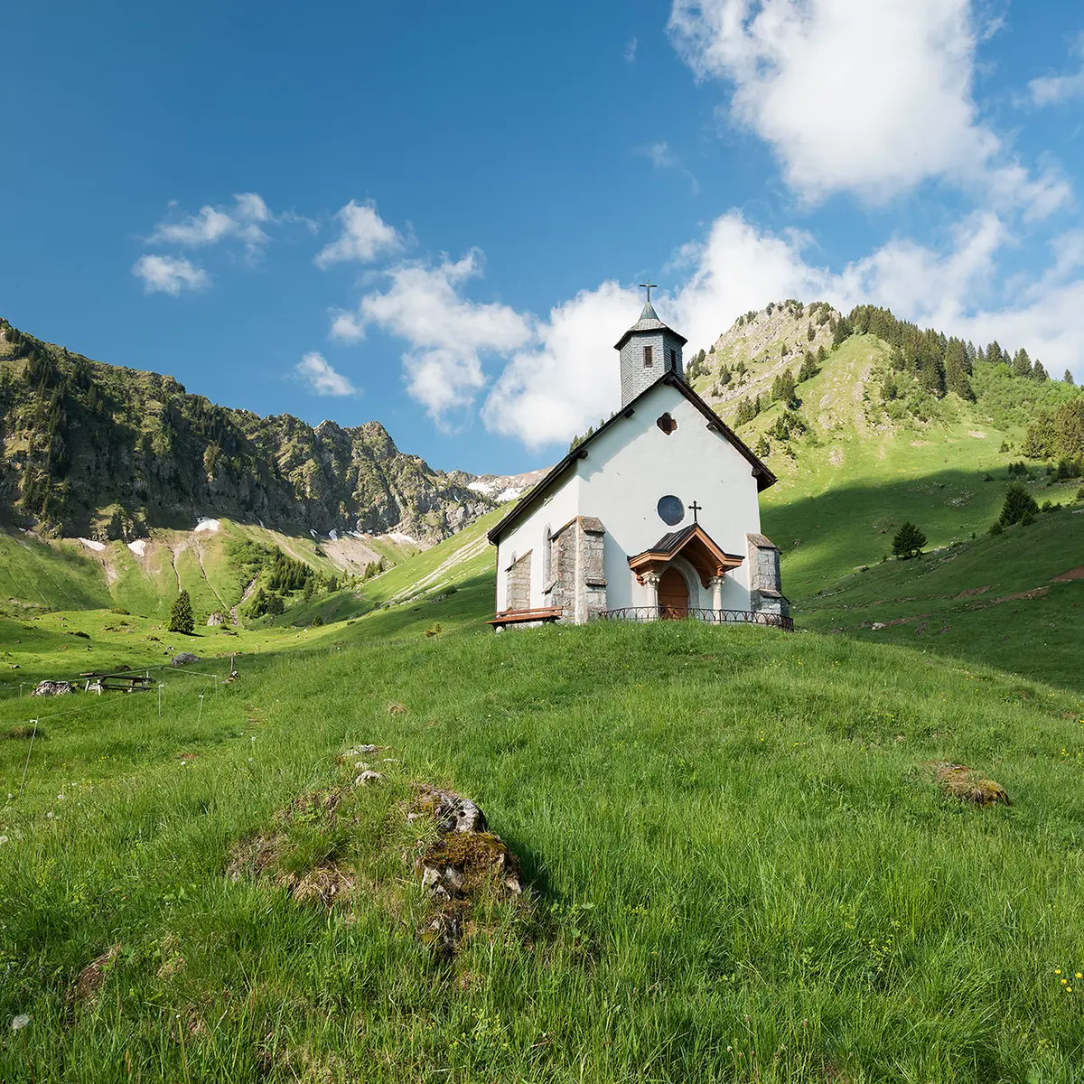 Graydon Alpine Pasture