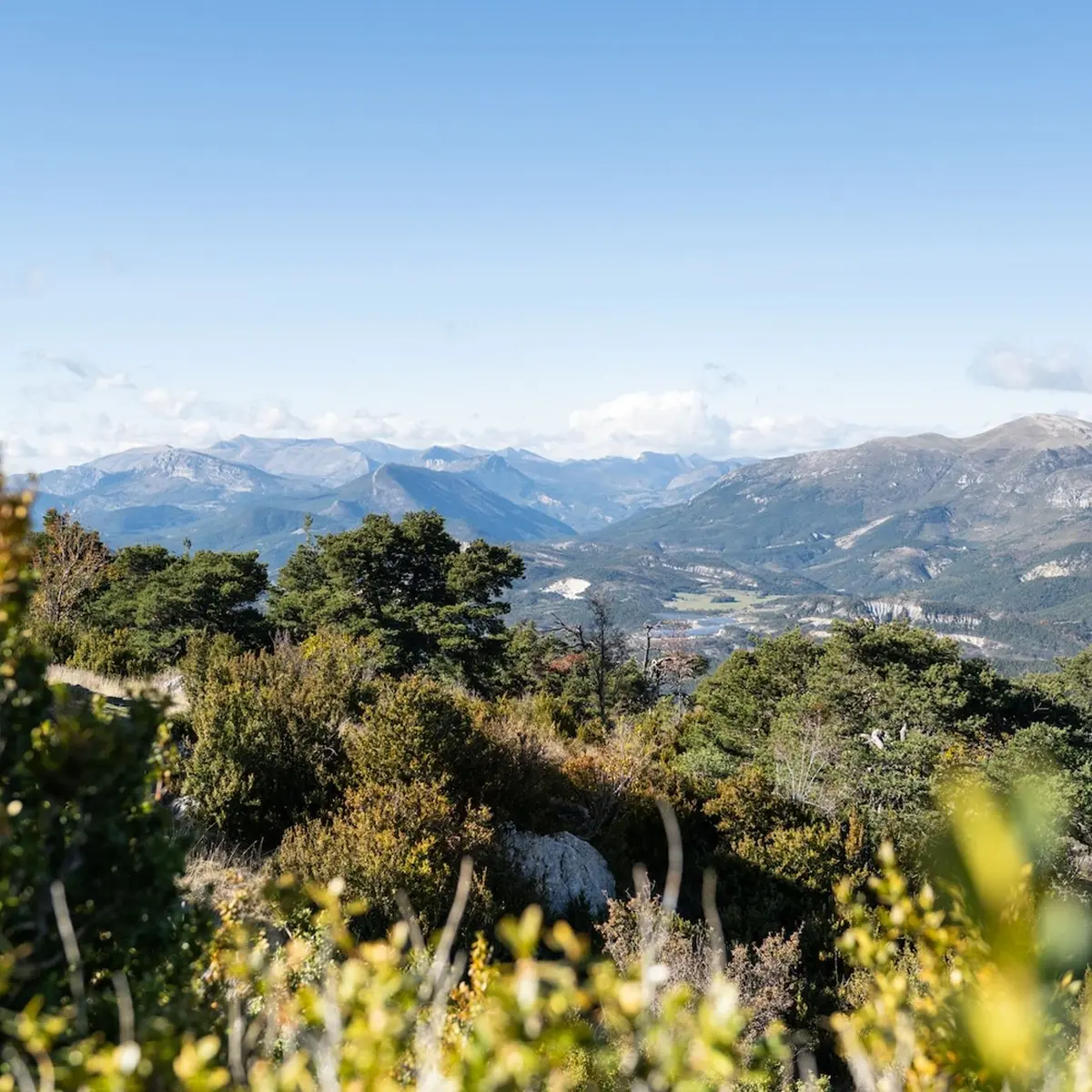 Point de vue