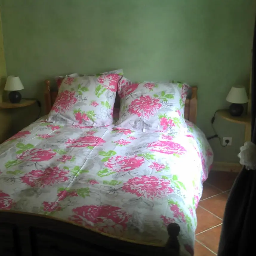 Meublé Mme DESSALCES - Le Pont du Monet - Usson en Forez