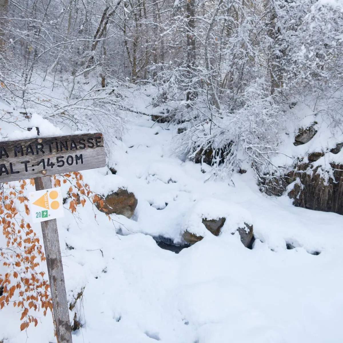 Torrent de la Martinasse