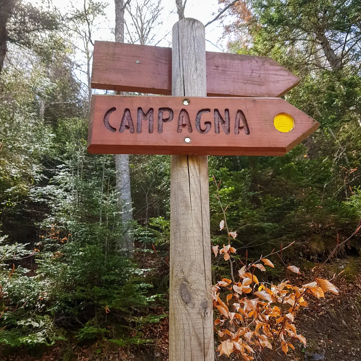 Panneau de signalisation