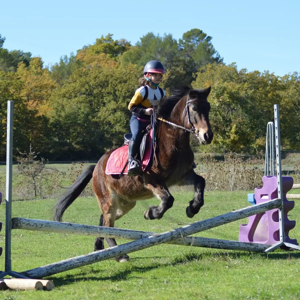 élevage des sorgues