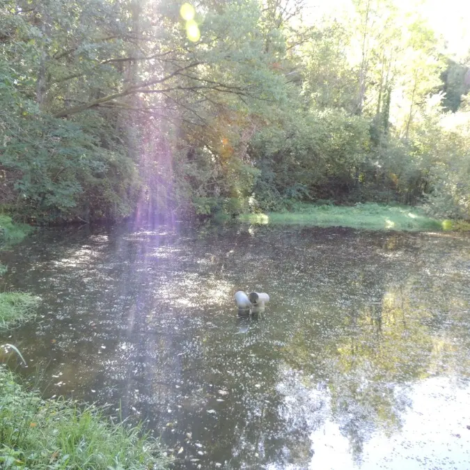 Etang