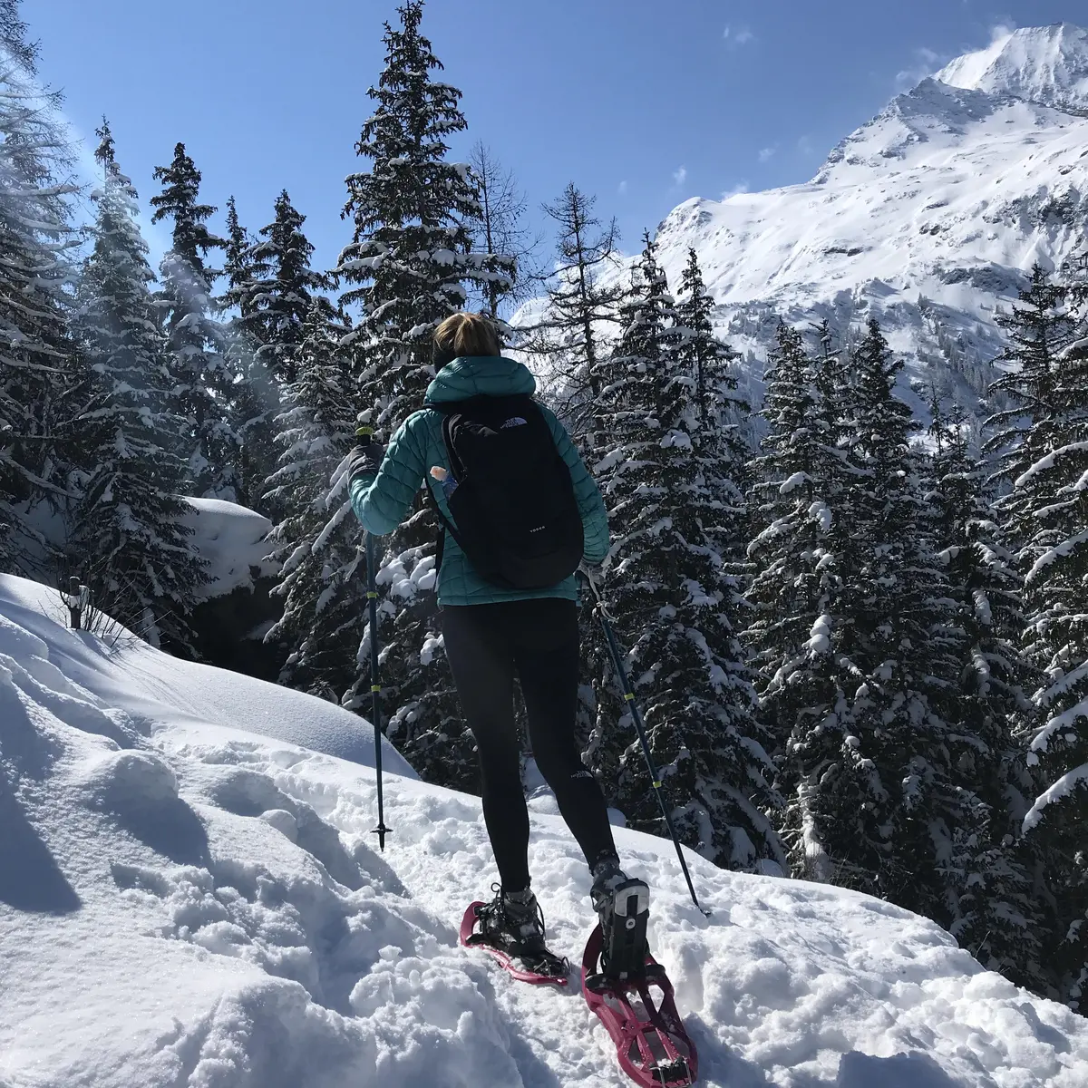 Raquette : Le Loup, les Animaux et la Nocturne avec l'ESF