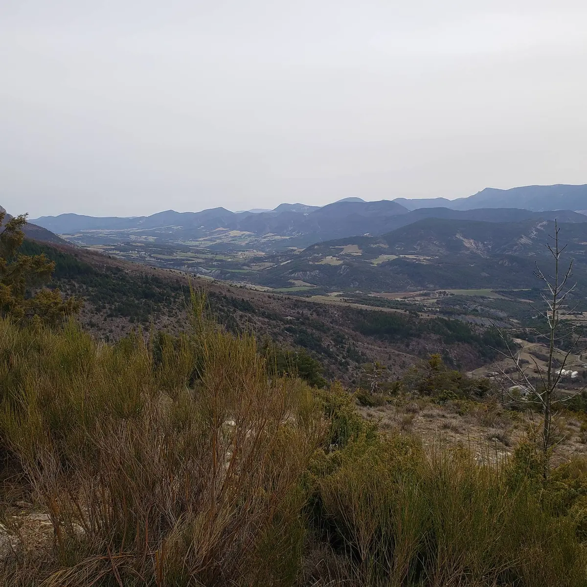 Vue sur la vallée du Rosanais