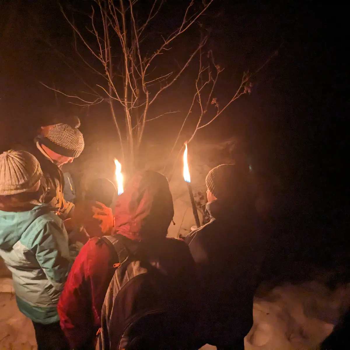 En terrain connu : Escape Avalanche