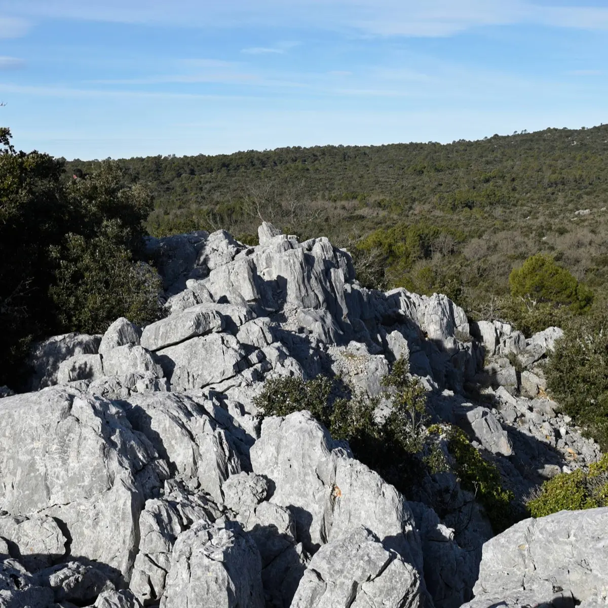 Multitudes de rochers sur une falaise envahis par la végétation