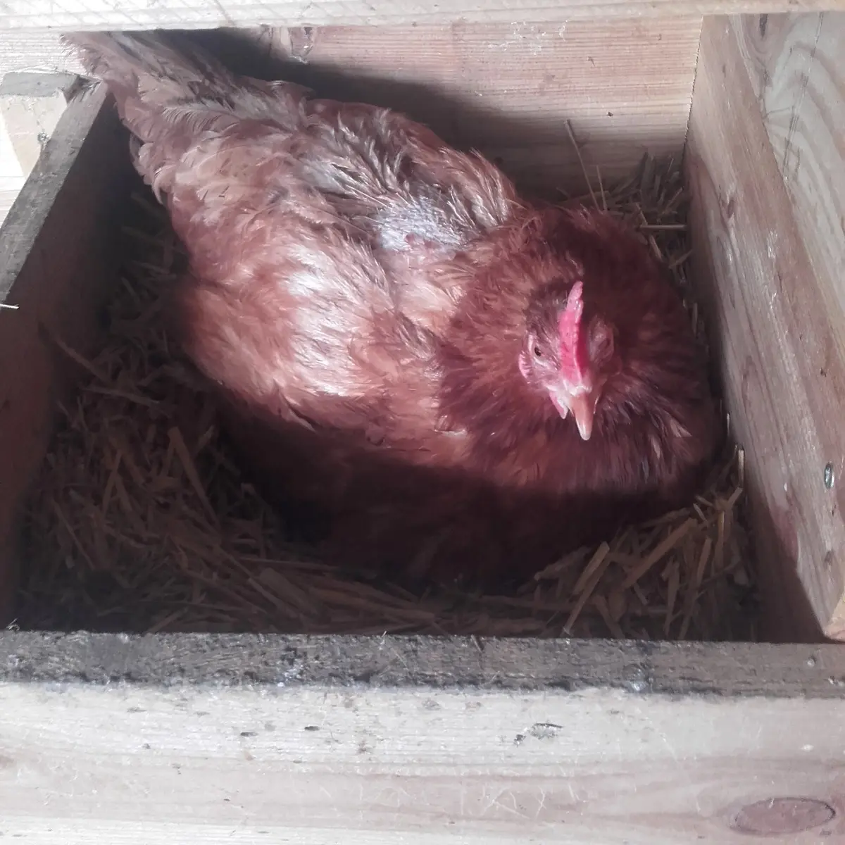 GAEC de l'Empereur, Le Glaizil, vallée du Valgaudemar