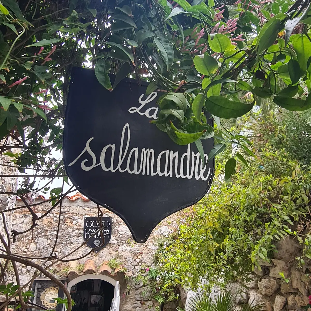 La salamandre