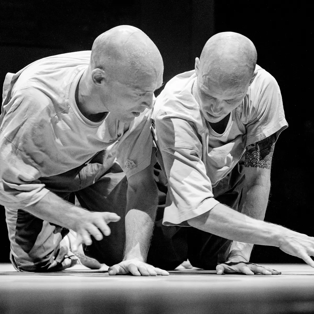 Plateforme Studiotrade_Cannes - La Bocca