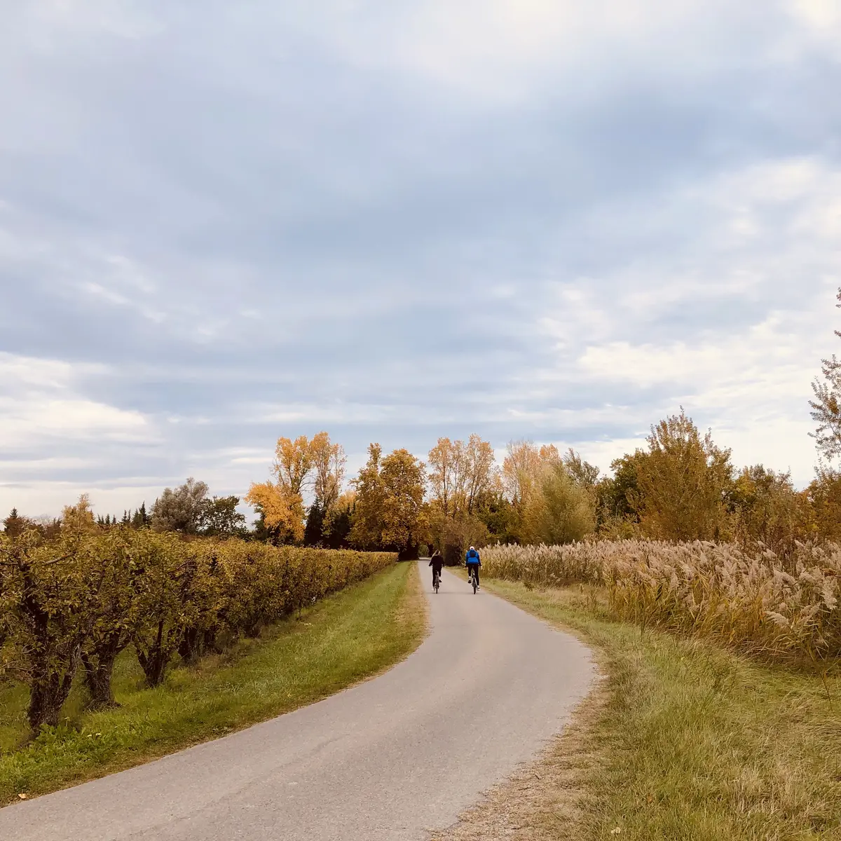 route vélo à Châteauneuf de Gadagne