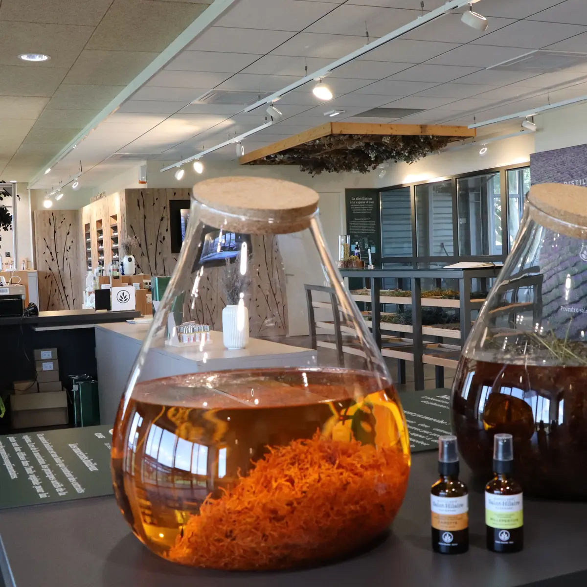Distillerie Saint-Hilaire