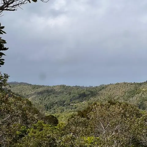 Point de vue du Pic Monnier