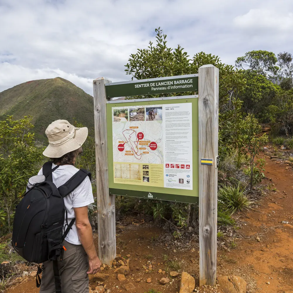 Trail of the old dam - Dumbéa Provincial Park