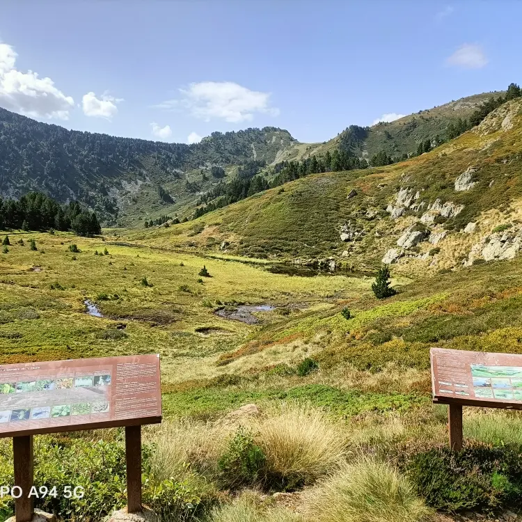panneaux_sentier_vue_touribiere
