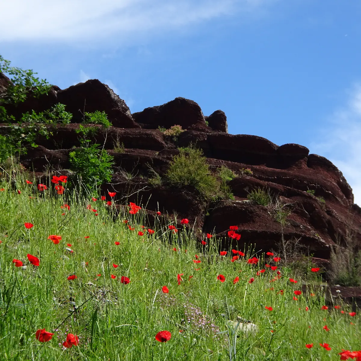 ©RNR gorges de Daluis - Aymeric Saulnier