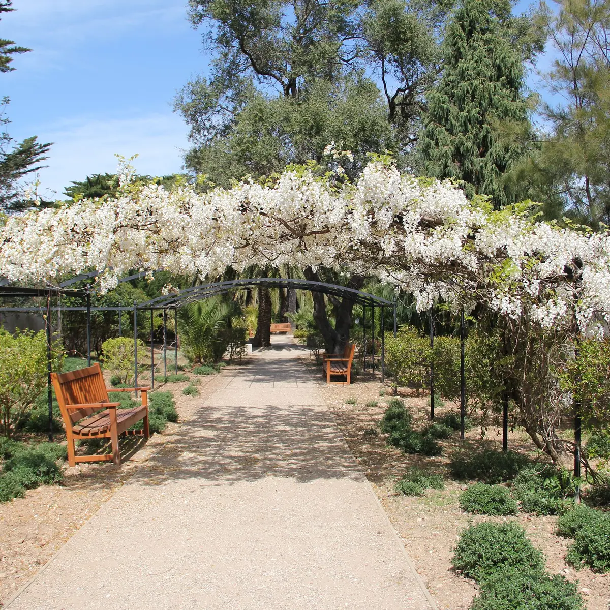Jardin Emmanuel Lopez au mois d'avril