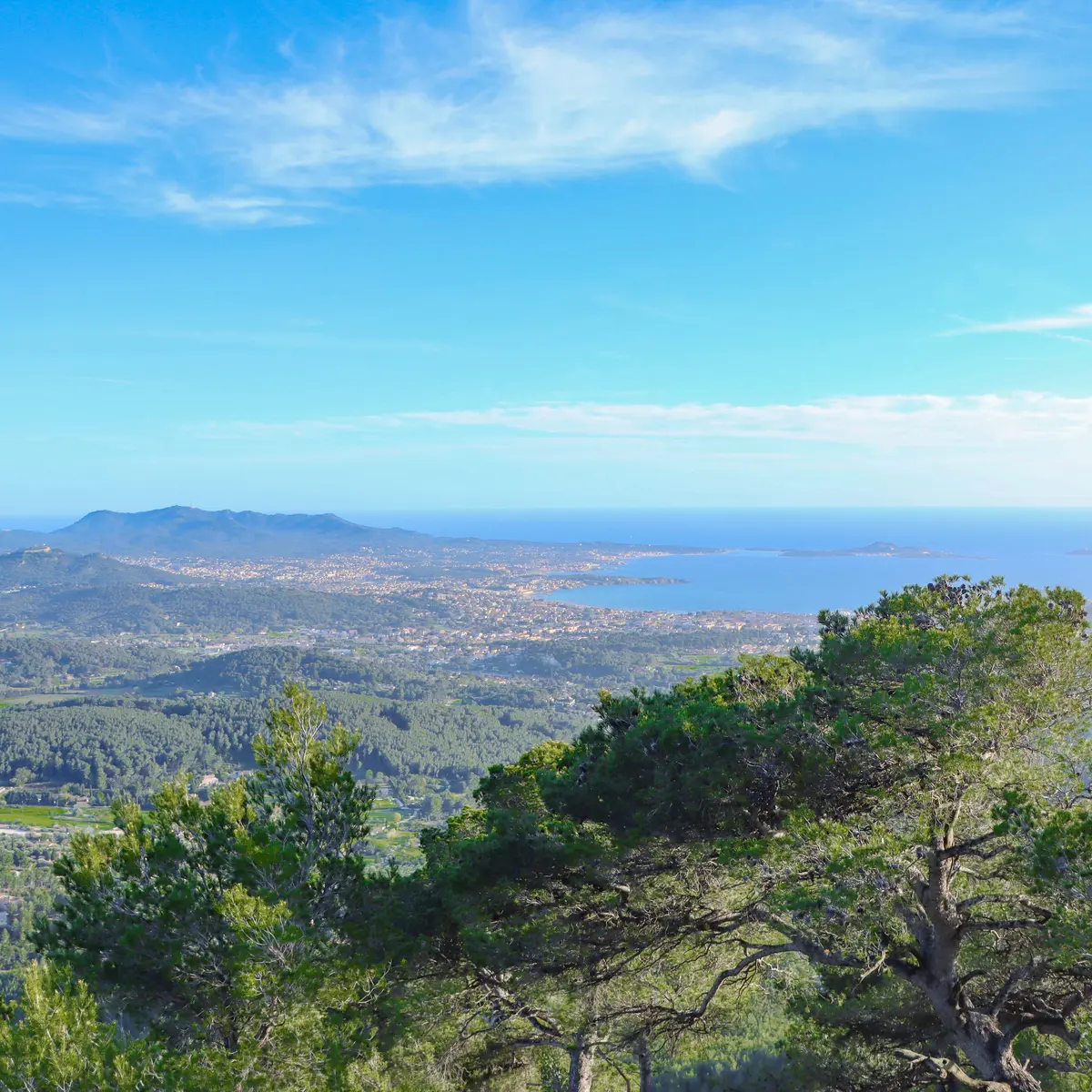 Randonnée sur le sentier du Belvédère dans le Massif du Gros Cerveau_Sanary-sur-Mer