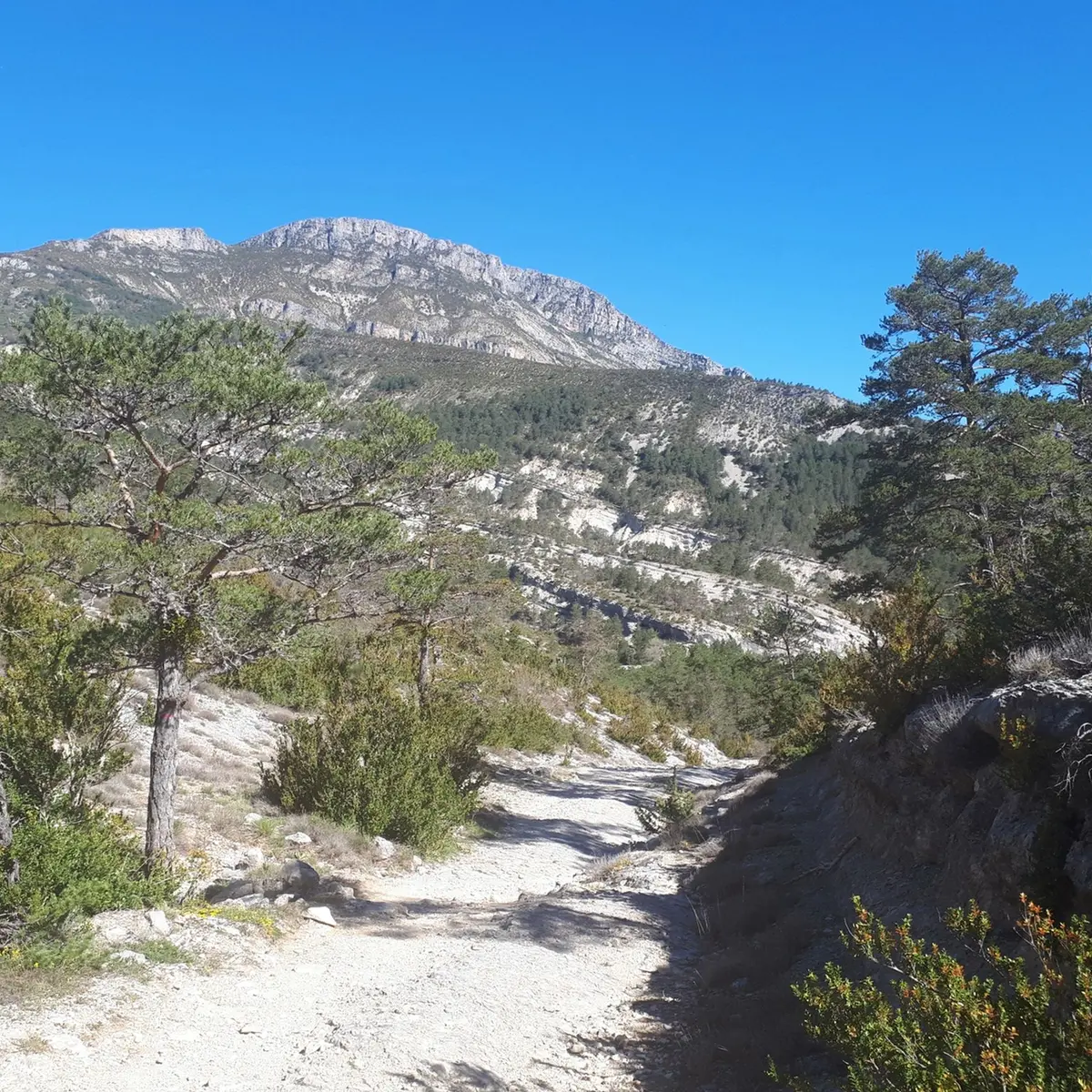 Sentier dégagé avec vue sur un sommet rocheux