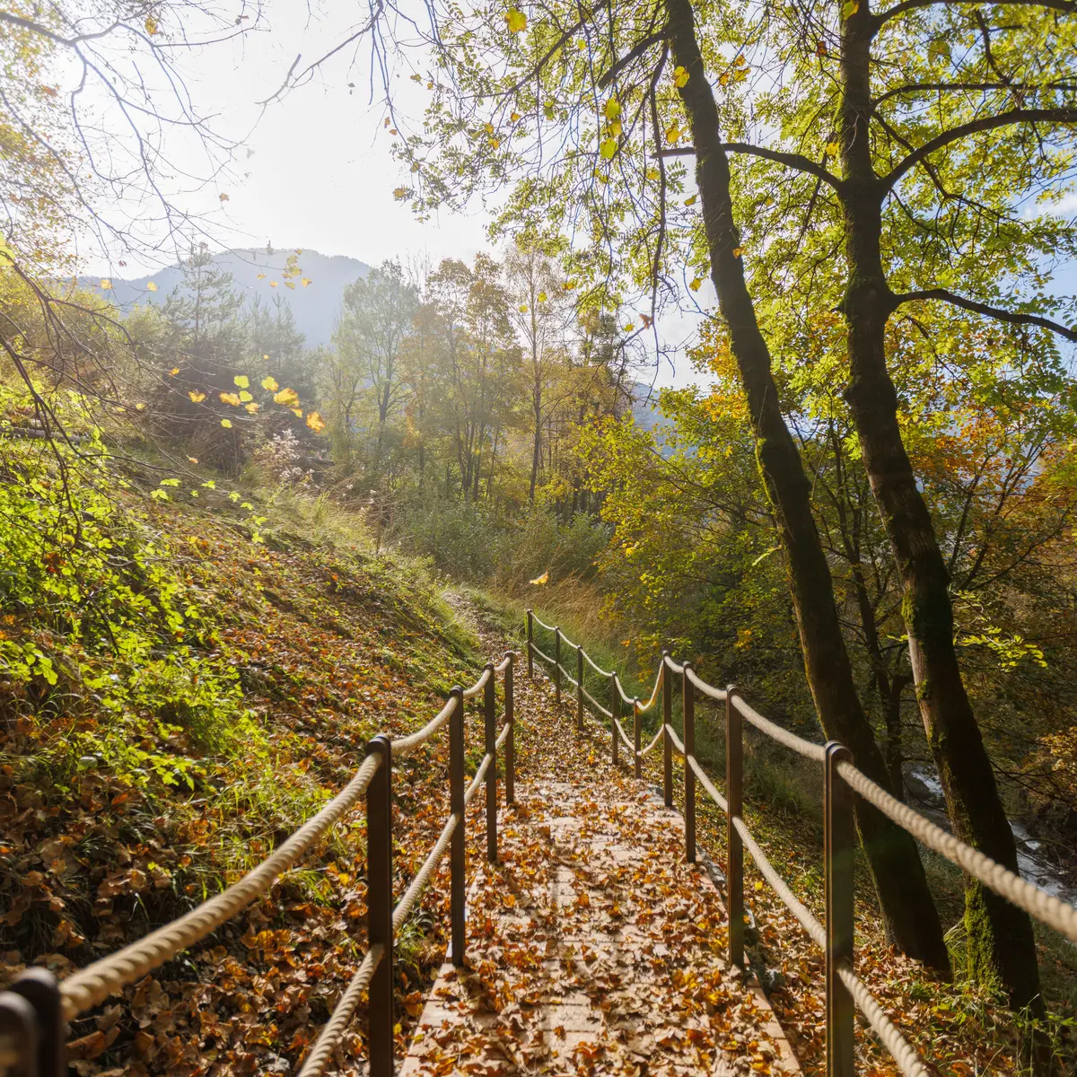 Accès aménagé à la cascade