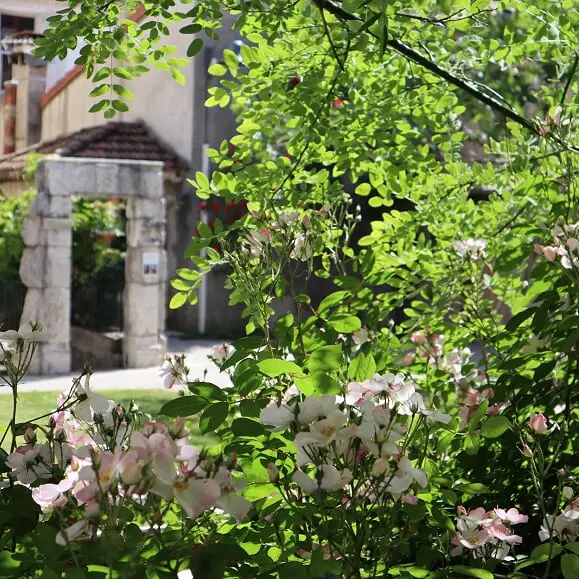 Le Jardin des Figuiers