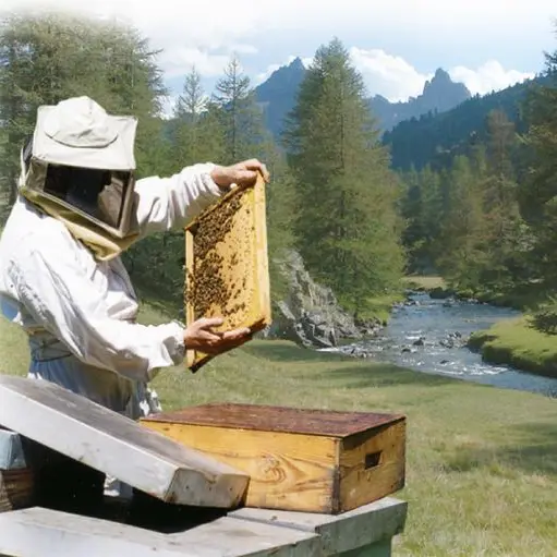 Miel de Névache - Produit biologique