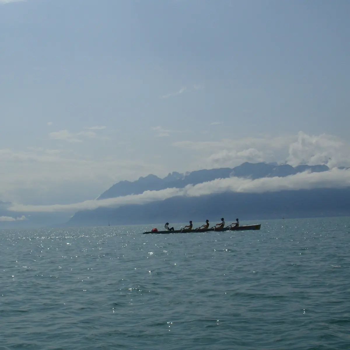 Chablais Aviron Thonon