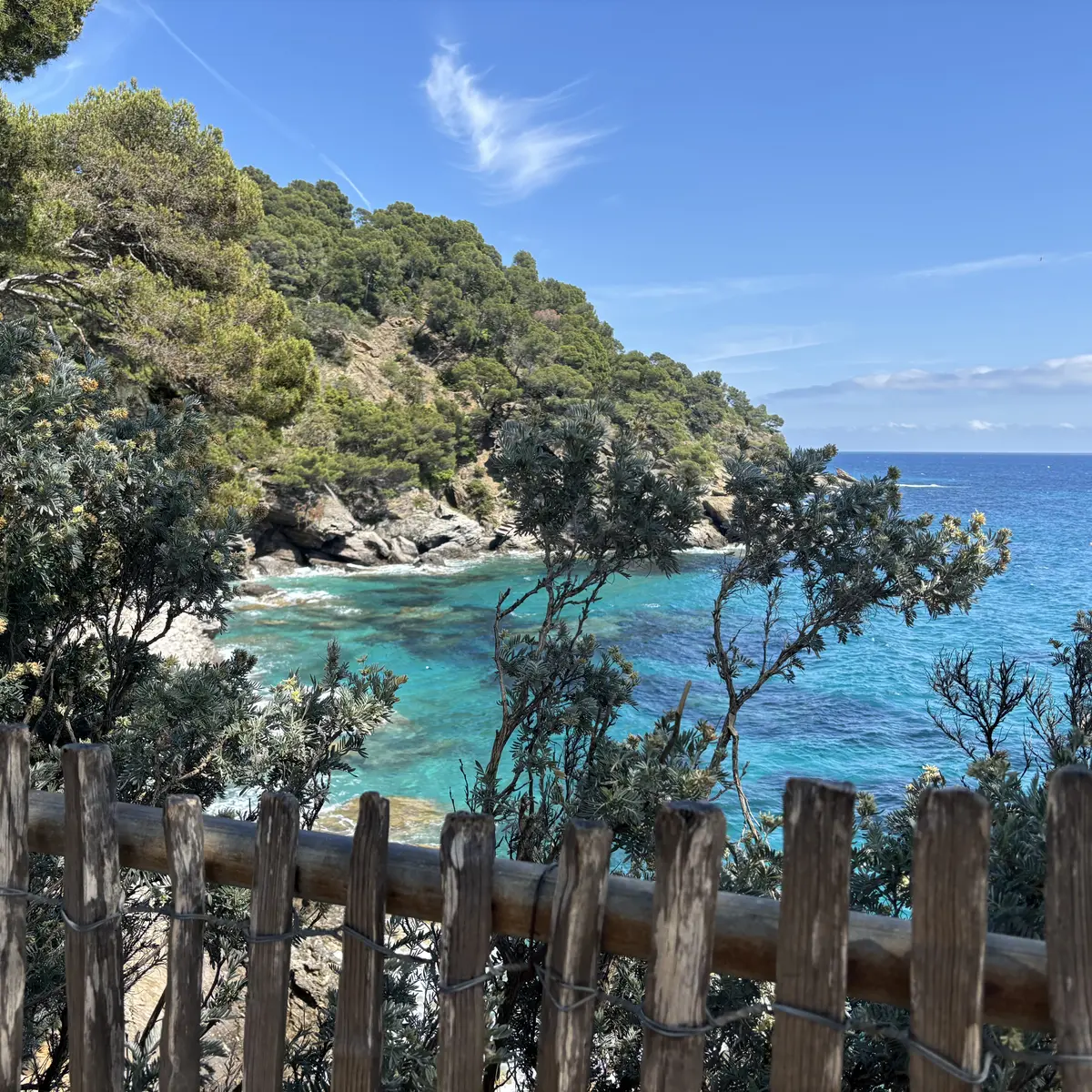 Le flamant rose de Lilo Salins