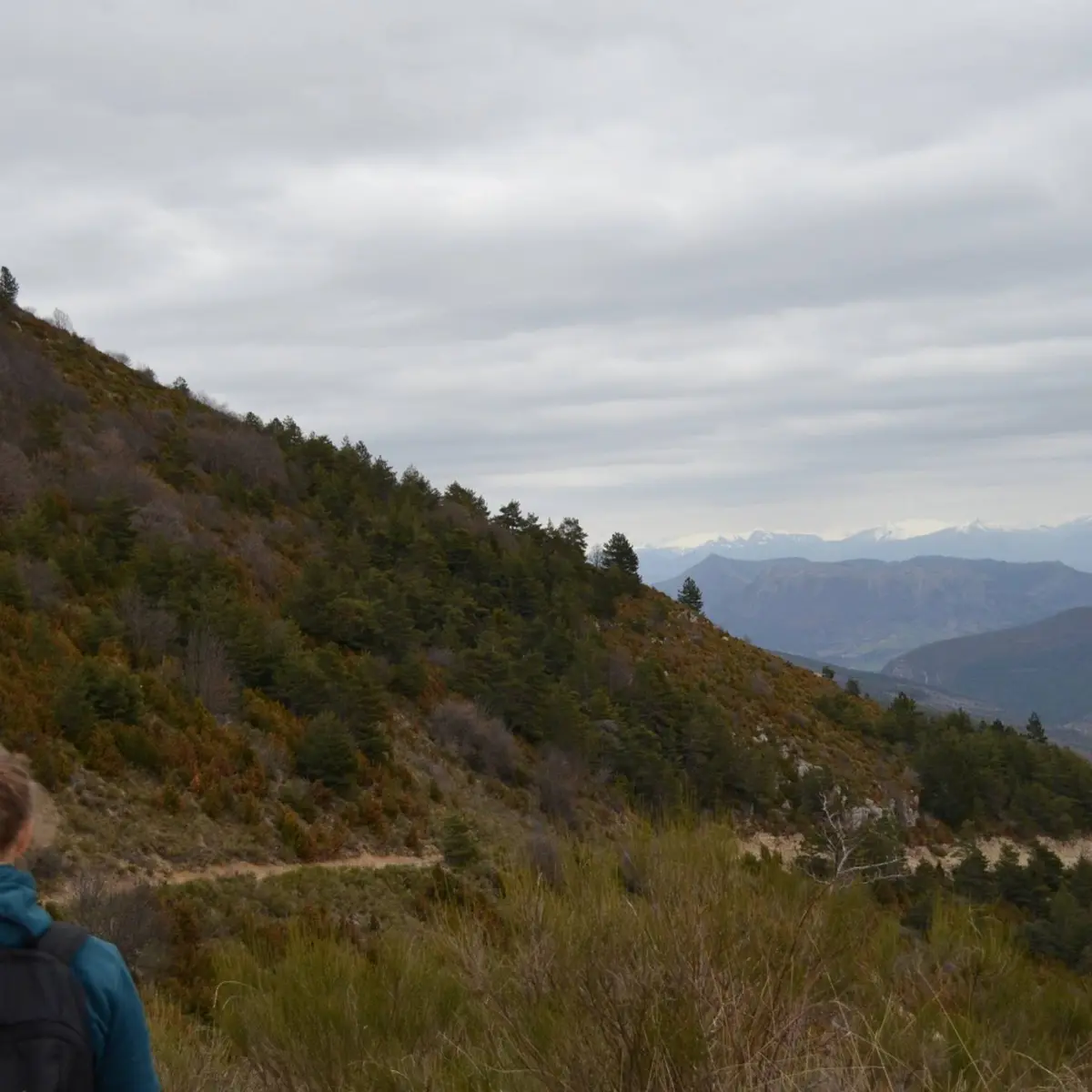 La vallée de l'Oule