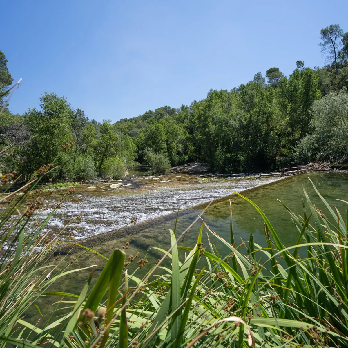 Ecluse sur l'Argens_Correns