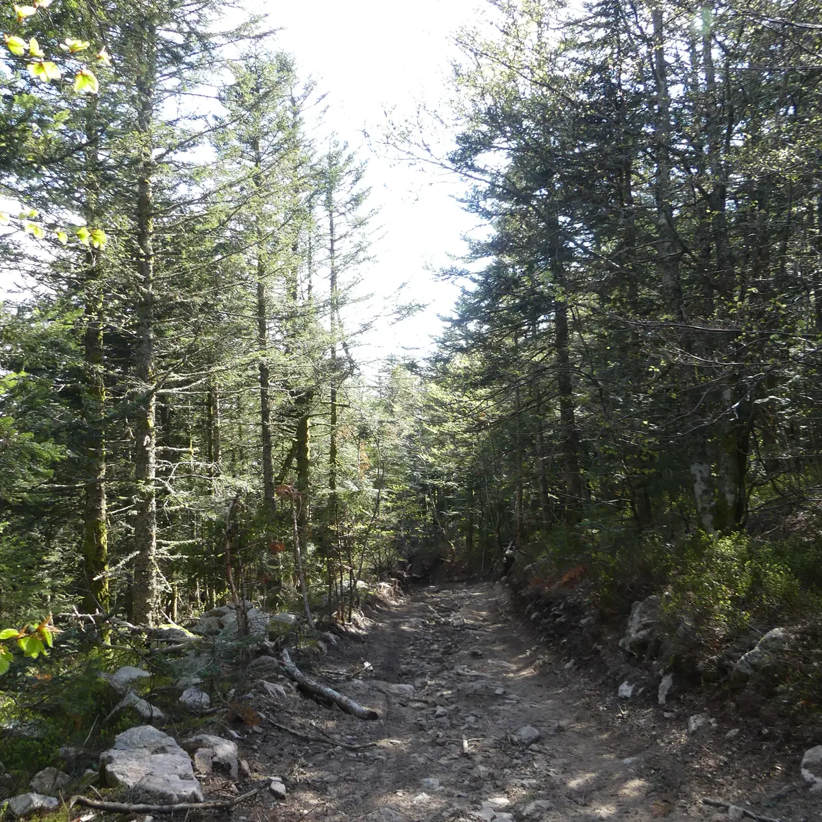 Puy de Montoncel