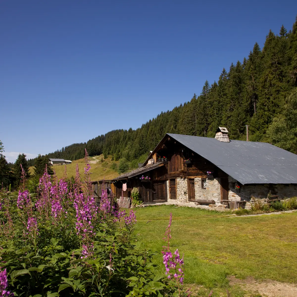Le Planay