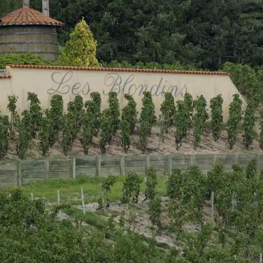 Domaine des Blondins