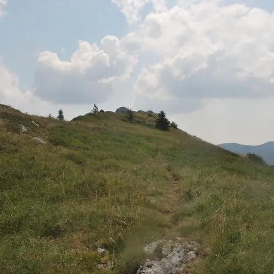 Entre les montagnes de la Sarcéna et de l'Aup