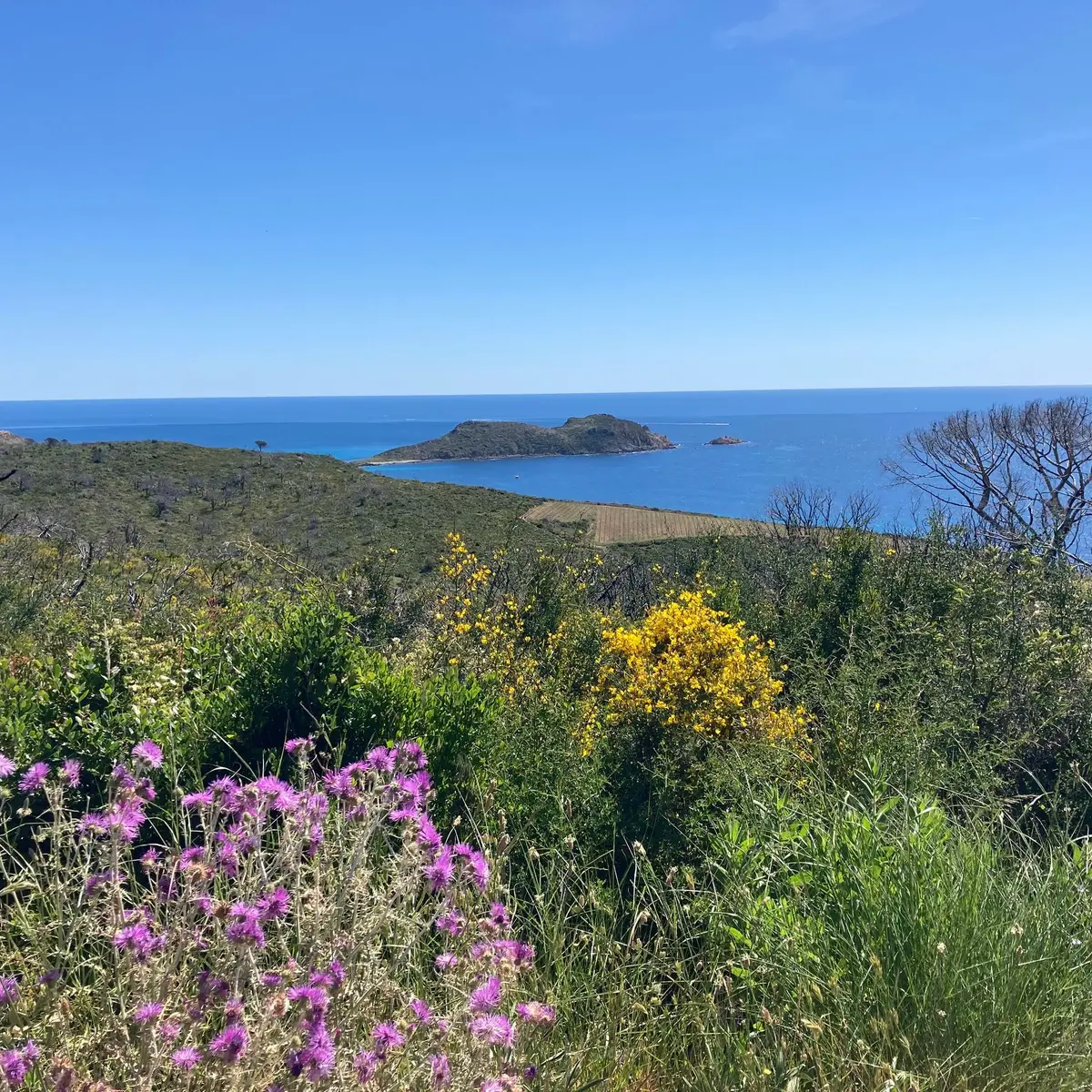 Vue sur le Cap Taillat