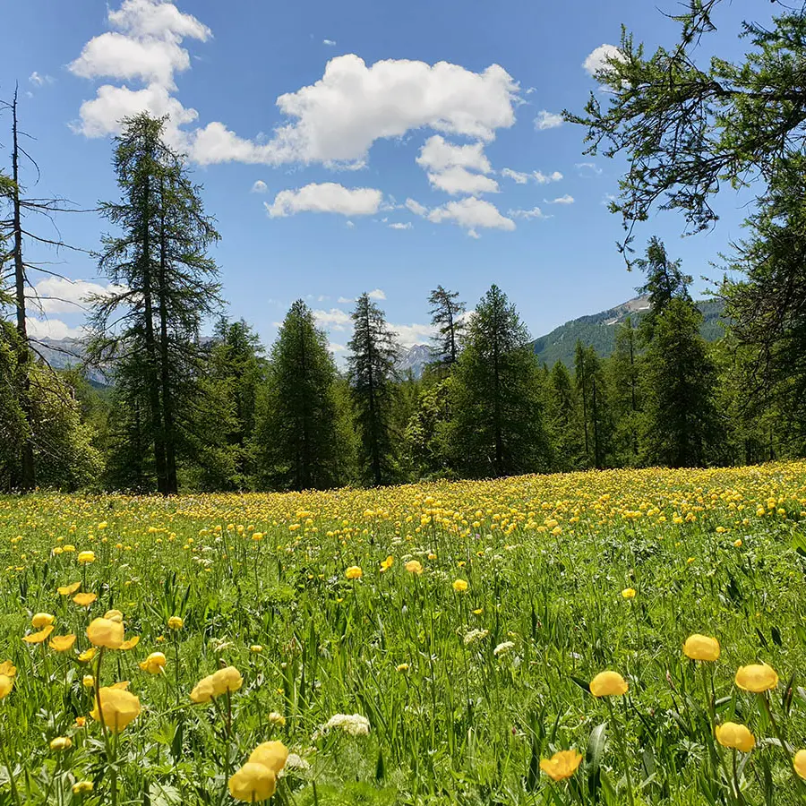 Montée au lac des grenouilles