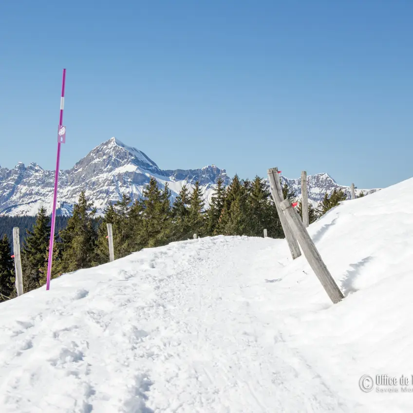 Ski de Randonnée en Val d'Arly