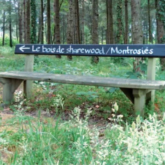 Bois de Montrosiès Nègrepelisse