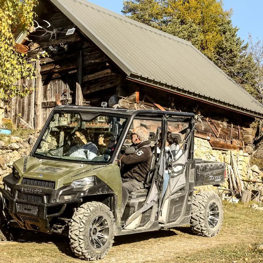Buggy Bergerie