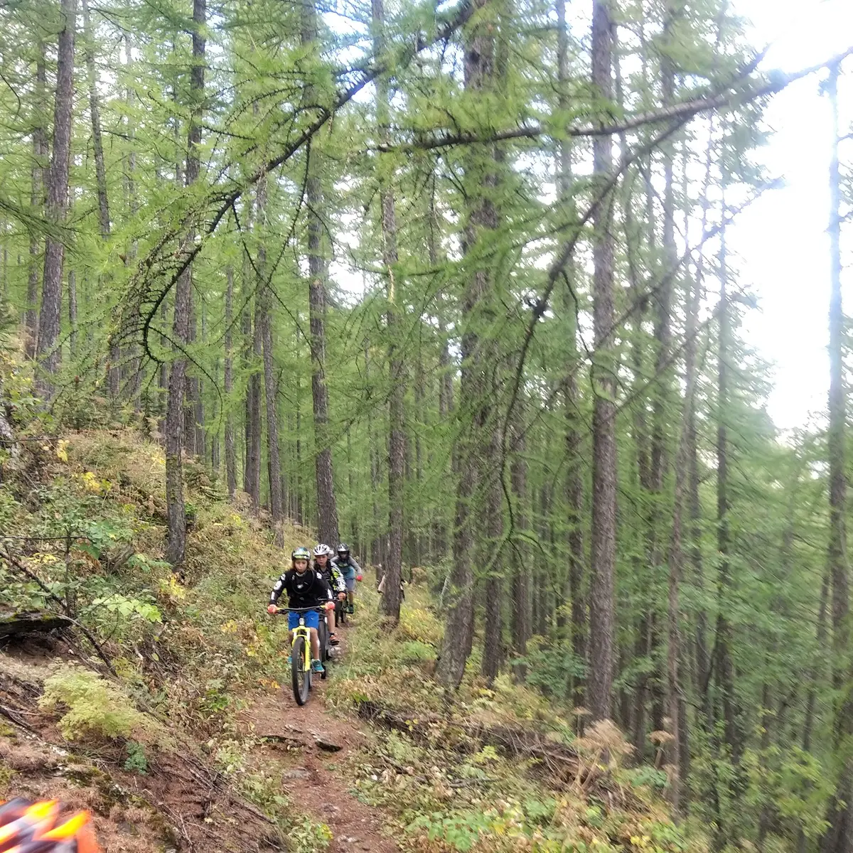 Descente en forêt en direction deClot Gaillard