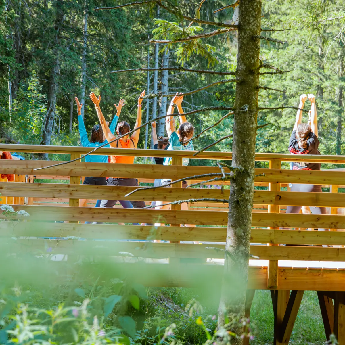Un groupe de personnes fait une séance de yoga sur la plateforme en bois de Bédina au coeur de la nature