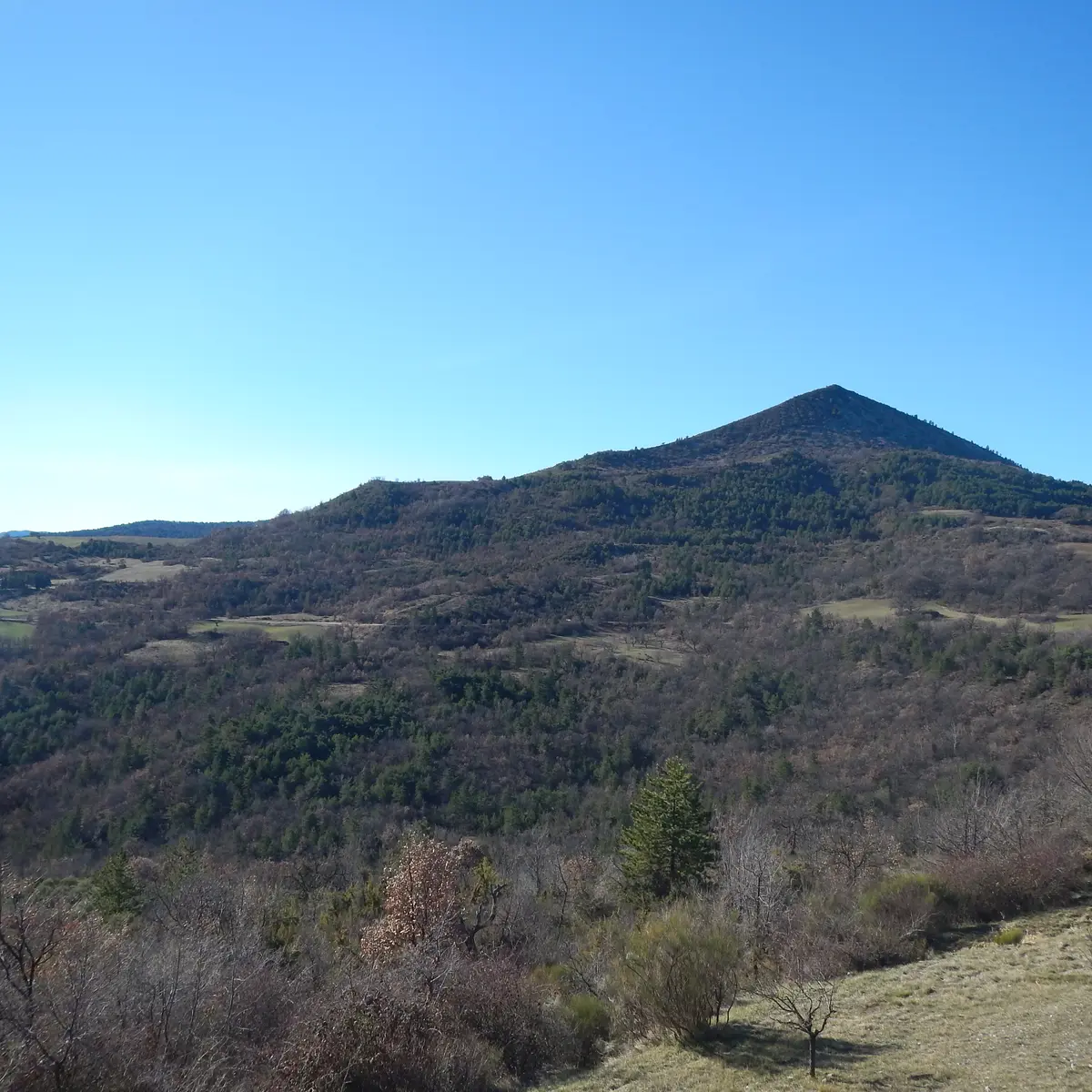 Promenade du philosophe