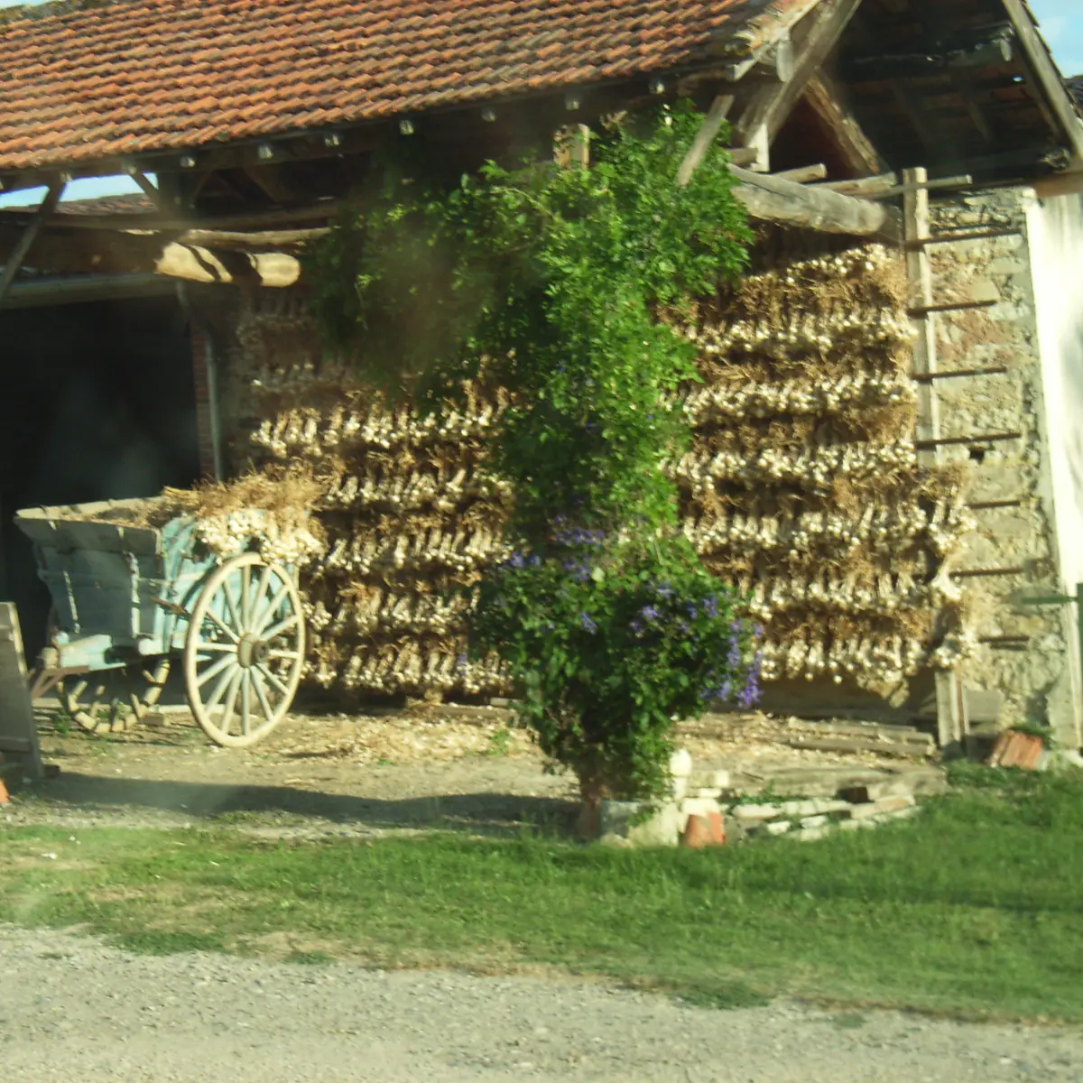 Ferme de papon