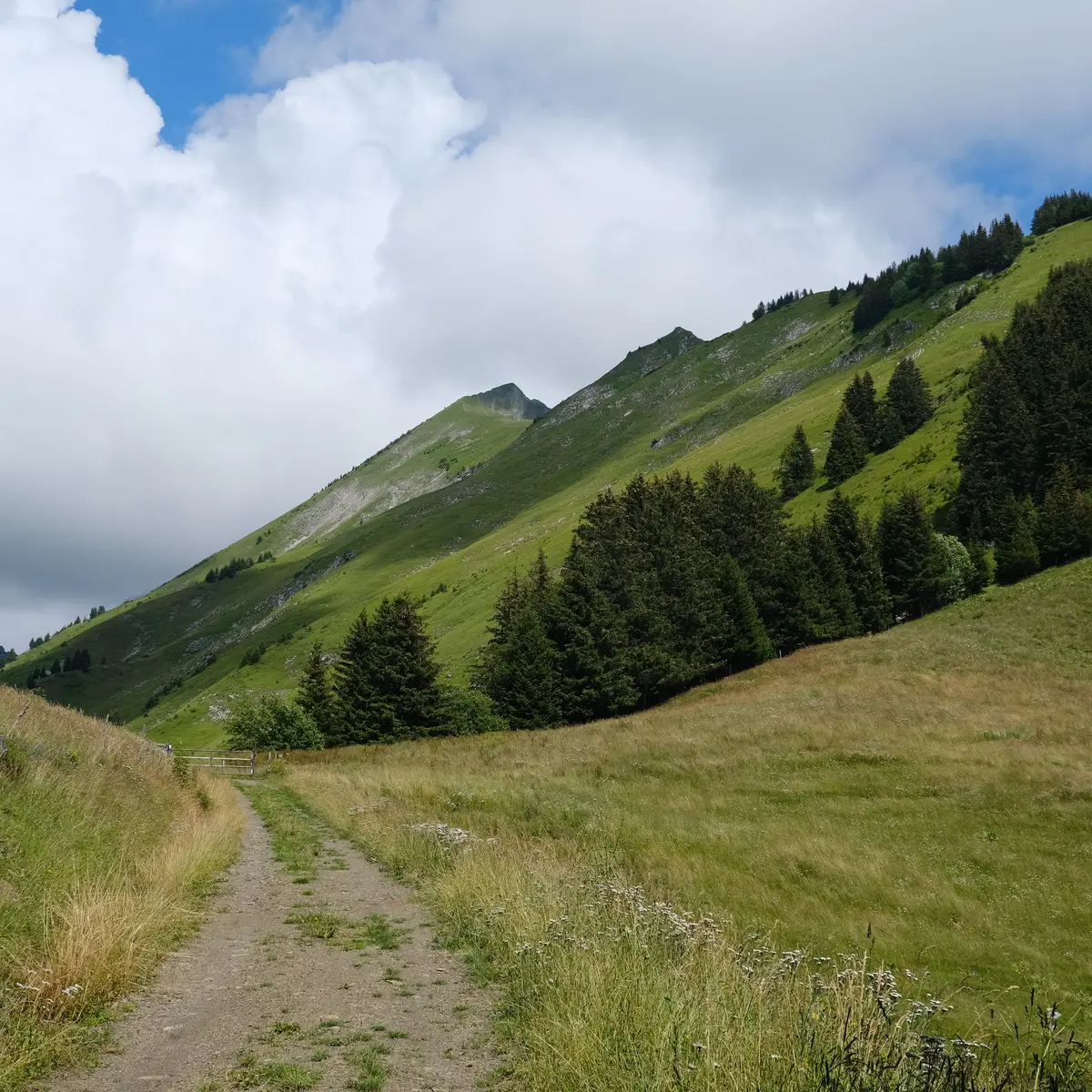 Sentier Tour de la Tulle - photo sous licence Creative Commons CC BY 2.0 https://creativecommons.org/licenses/by/2.0/